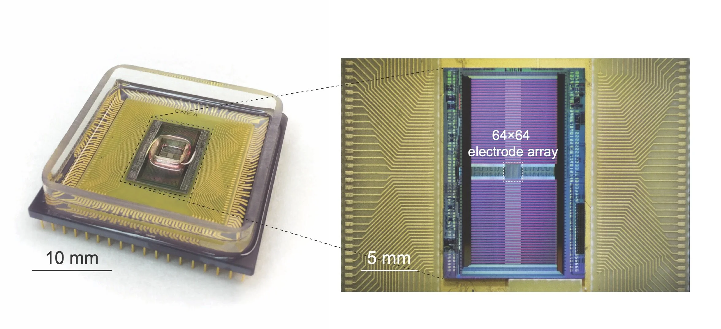 Nano-Bio Interfaces — Park Group @ Harvard